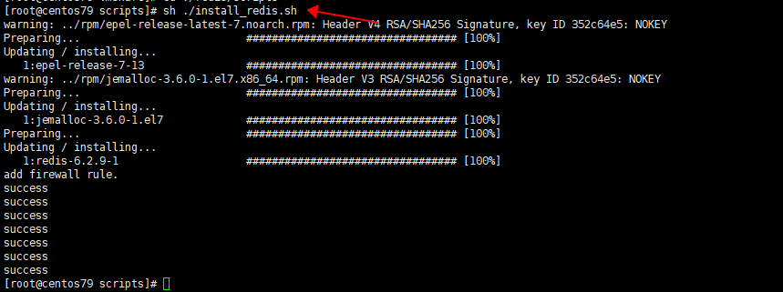 install_redis.png